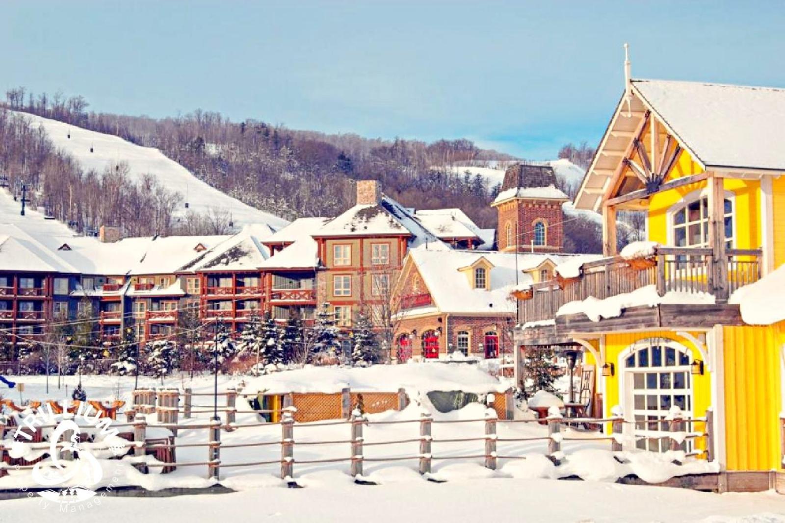 Blue Mountain, Collingwood - Loft Condo, Sleeps 4 The The Blue Mountains Exterior foto
