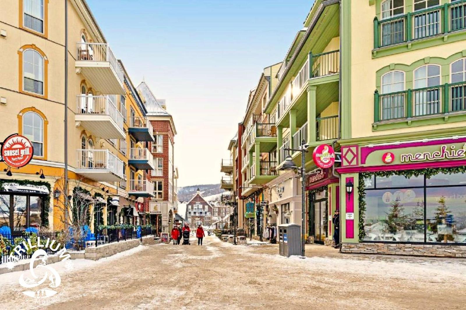 Blue Mountain, Collingwood - Loft Condo, Sleeps 4 The The Blue Mountains Exterior foto